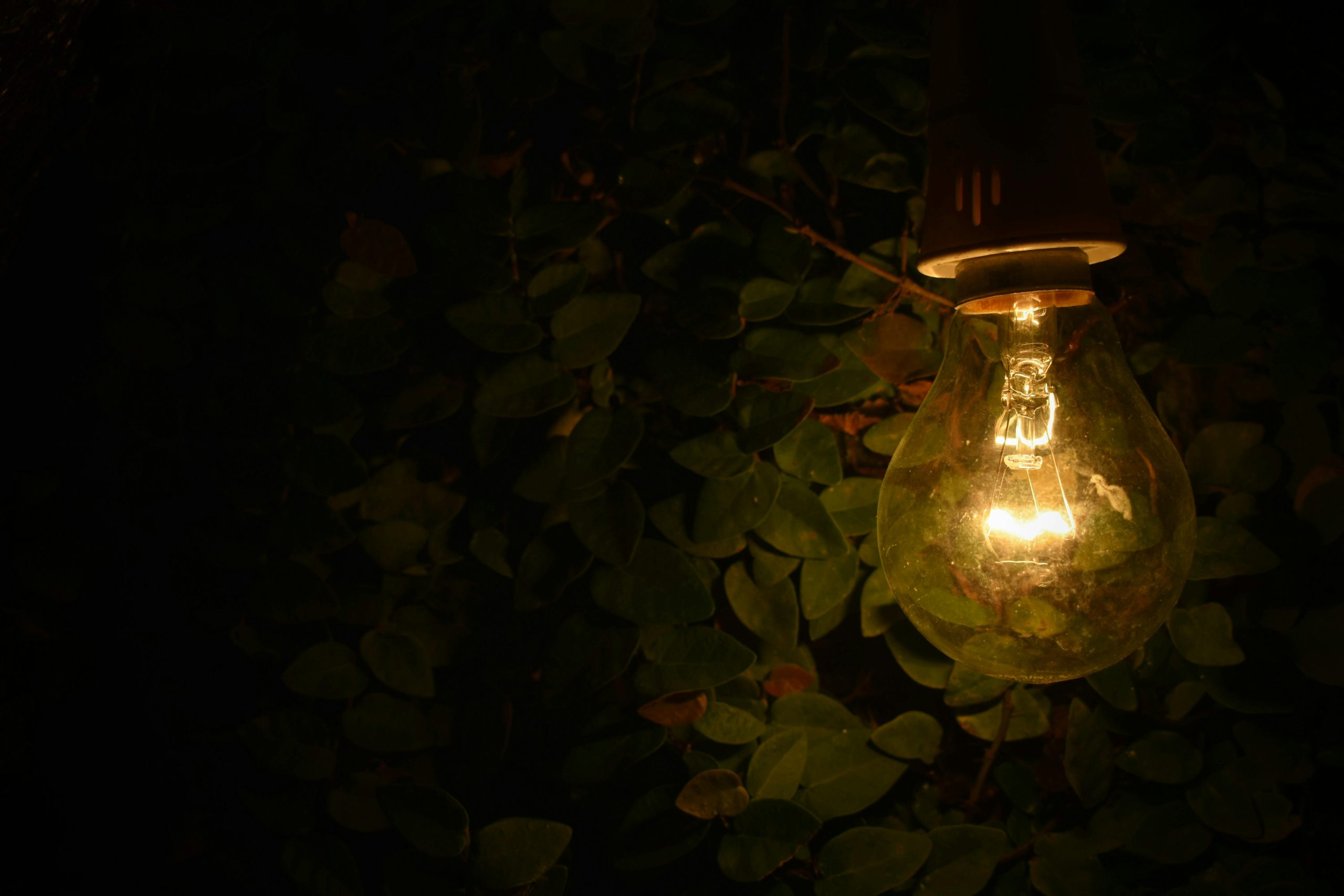 Illuminate Your Outdoor Space with These Stunning Lighting Ideas