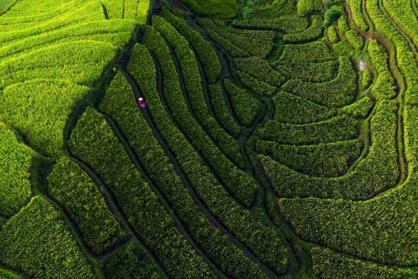 Unlocking the Potential of Green Bonds for a Sustainable Future