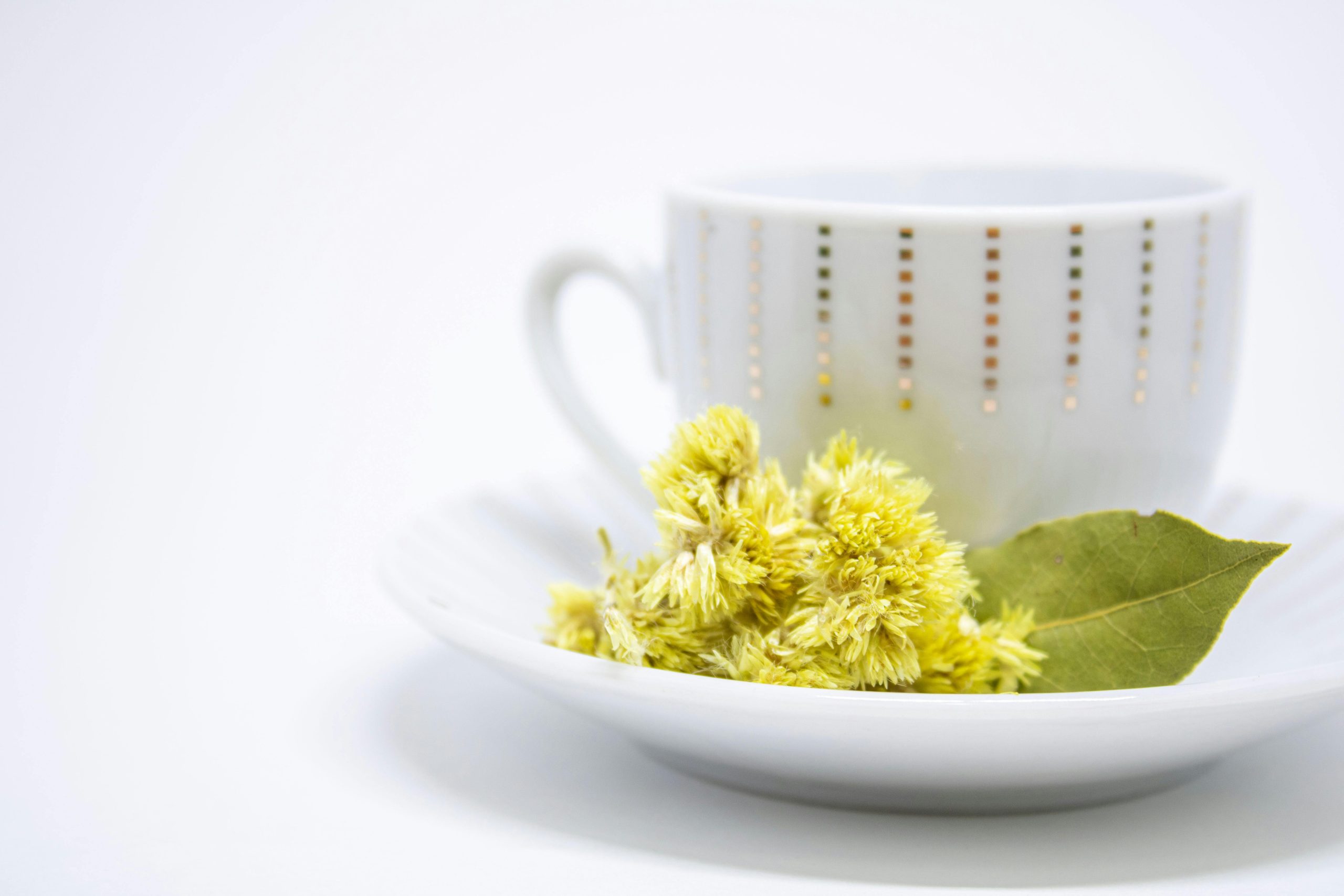 Unwind Naturally with These Soothing Herbal Teas