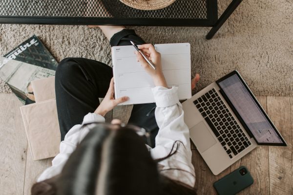 Master Excel from Scratch and Become a Spreadsheet Pro