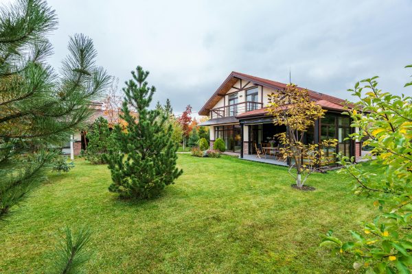 Transform Your Balcony into a Thriving Green Oasis