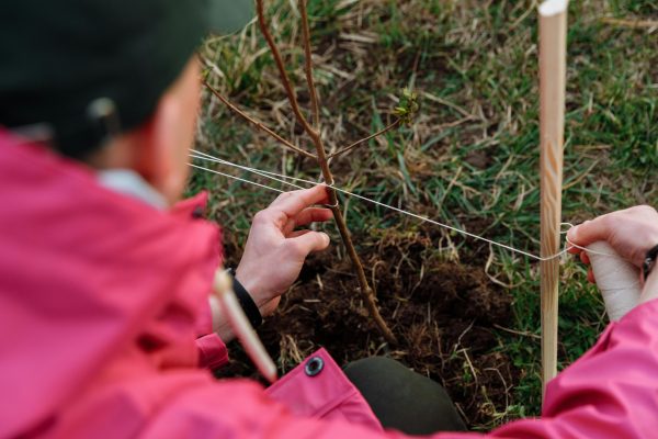 Unlock Meaningful Adventures Through Volunteer Work Abroad