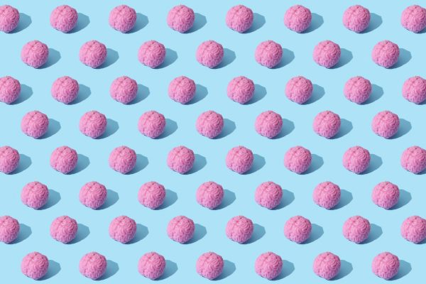 Fuel Your Mind with the Best Foods for Optimal Brain Health