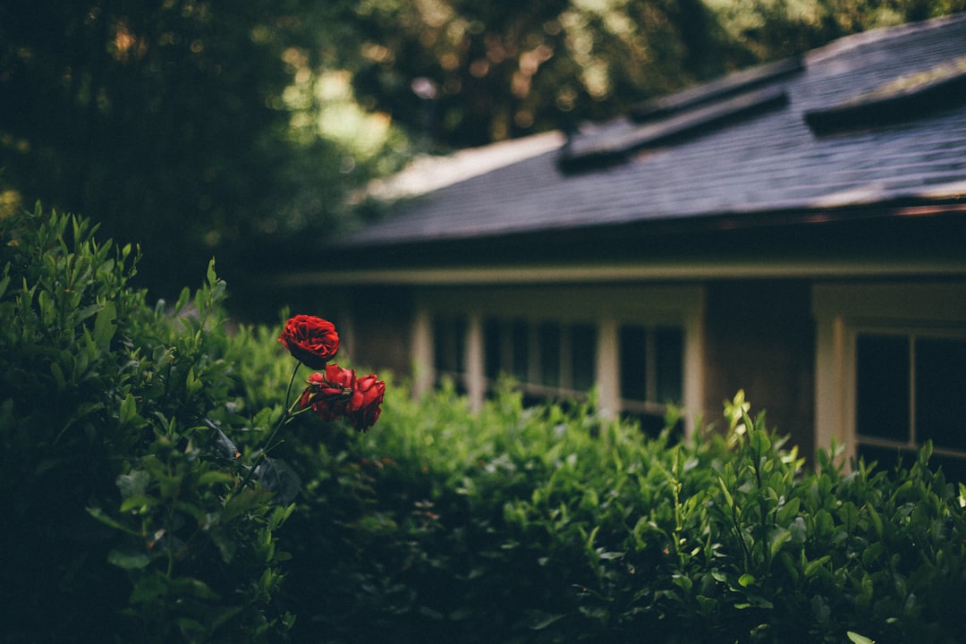 Transform Your Home into a Safe Haven for Little Explorers