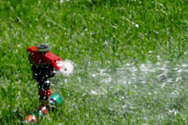 Discover the Power of Natural Cleaning Products for a Greener Home