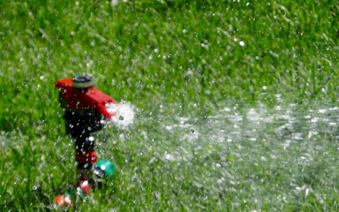 Discover the Power of Natural Cleaning Products for a Greener Home