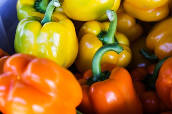 Navigating the World as a Plant Based Traveler