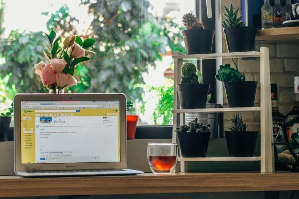Top Web Hosting Services for Every Online Need