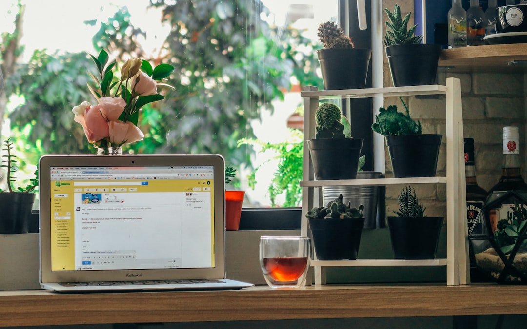 Top Web Hosting Services for Every Online Need