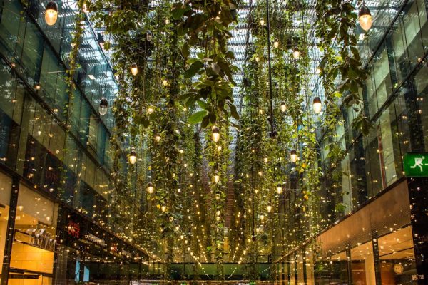 Maximizing Greenery with Vertical Gardening in Small Spaces