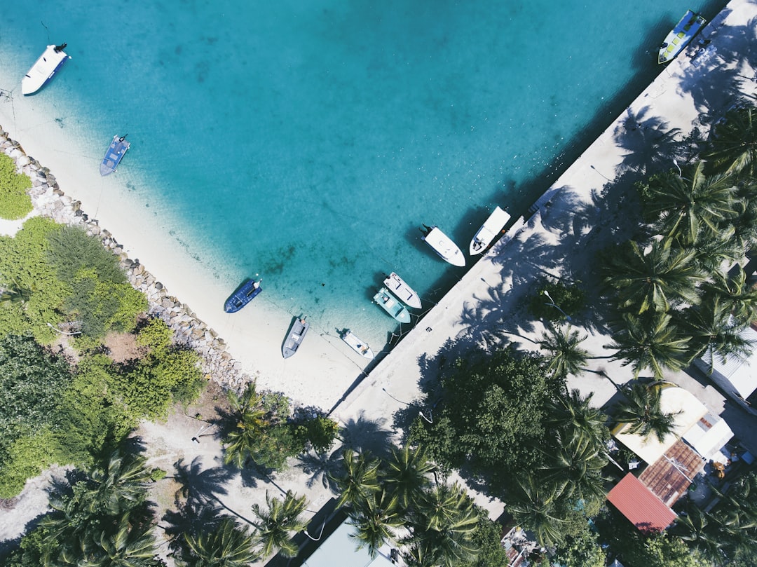 Smart Ways to Secure BudgetFriendly Travel Insurance
