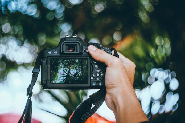 Empower Your Digital Marketing Campaigns with Top Tools