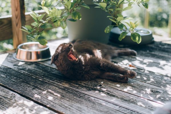 Unwind and Recharge Simple Ways to Relax After a Hectic Day
