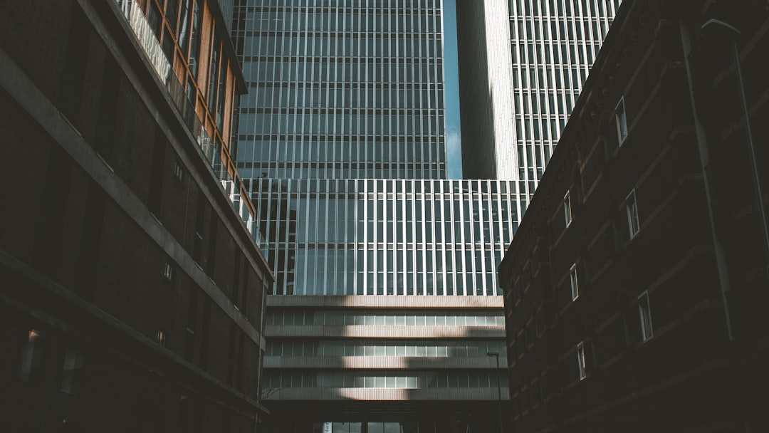 Navigating the Complex World of Capital Gains Taxes