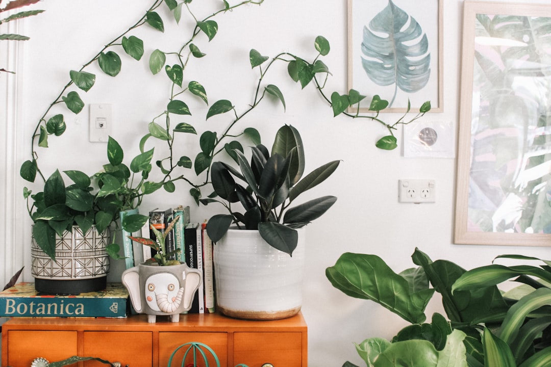 The Ultimate Guide to Thriving Indoor Plants