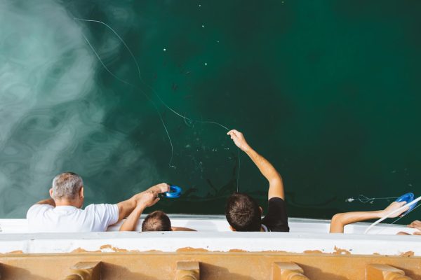 Boost Teamwork and Learning with These Essential Online Tools