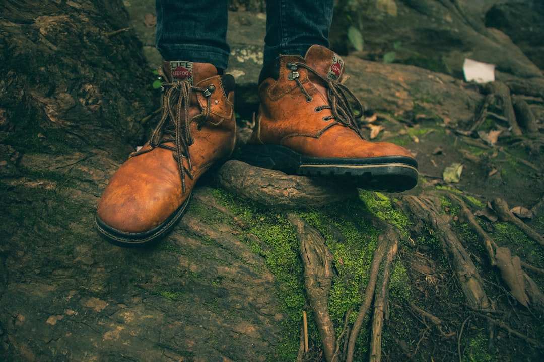 The Ultimate Guide to Versatile Shoes for Every Occasion