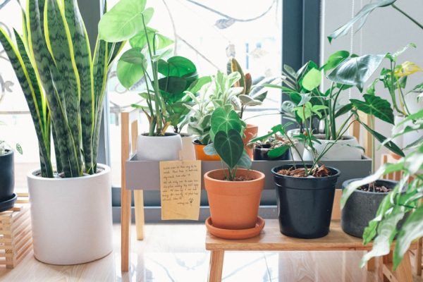 Transform Your Space with Smart Home Organization