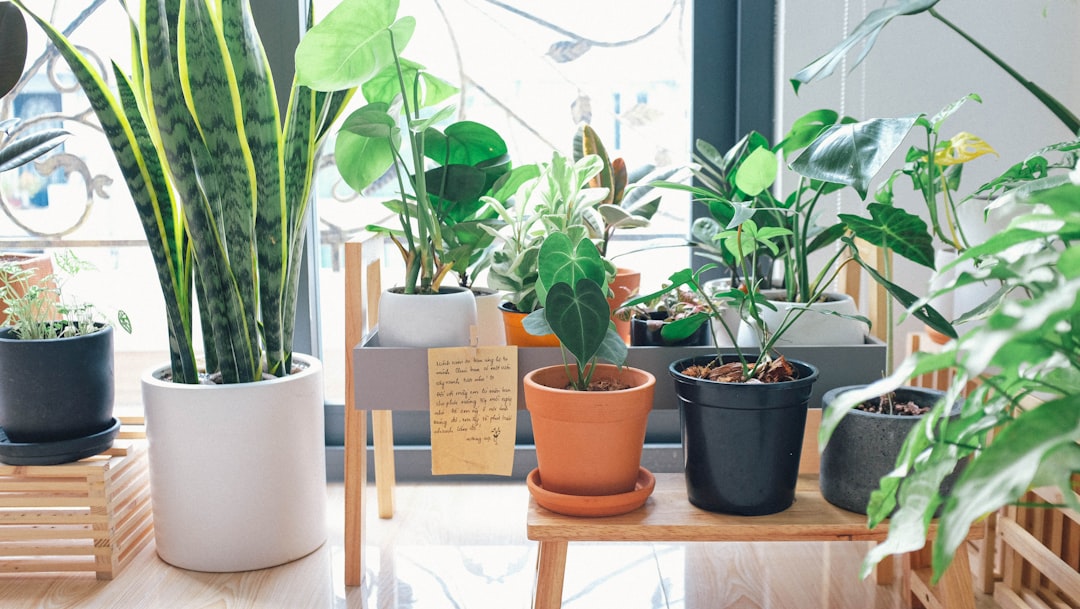 Transform Your Space with Smart Home Organization