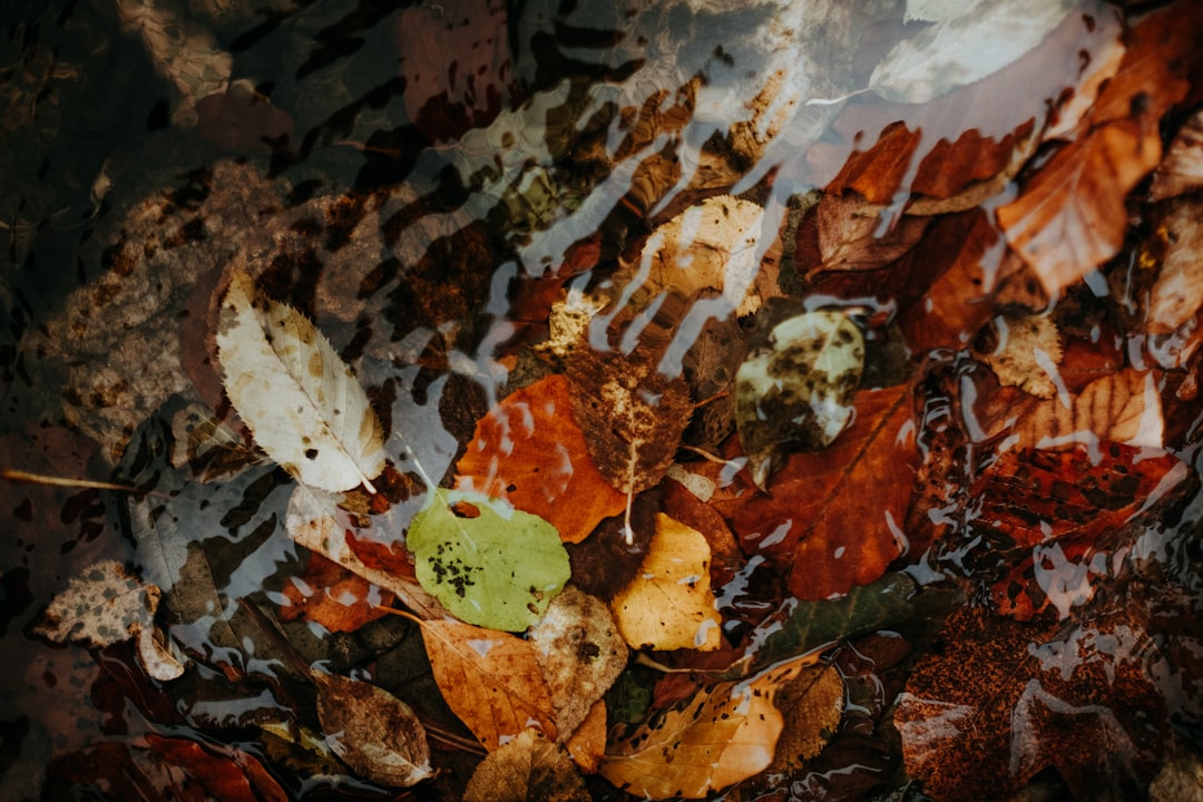 Smart Strategies to Minimize Food Waste and Save Money