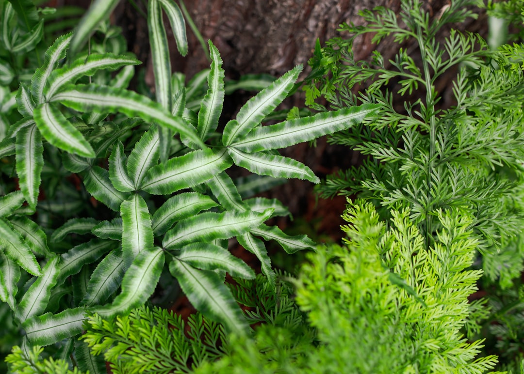 Transform Your Cooking with Fresh Homegrown Kitchen Herbs