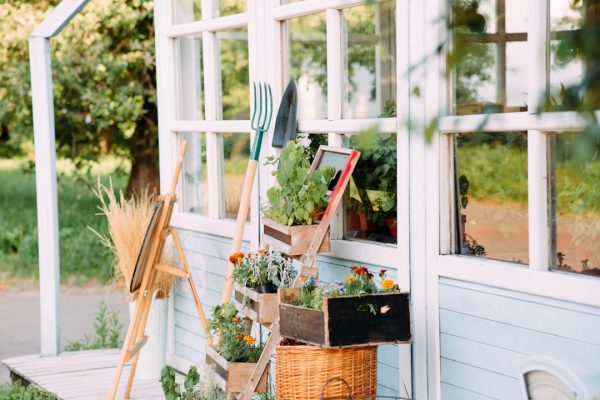 Transform Your Small Balcony into a Green Oasis