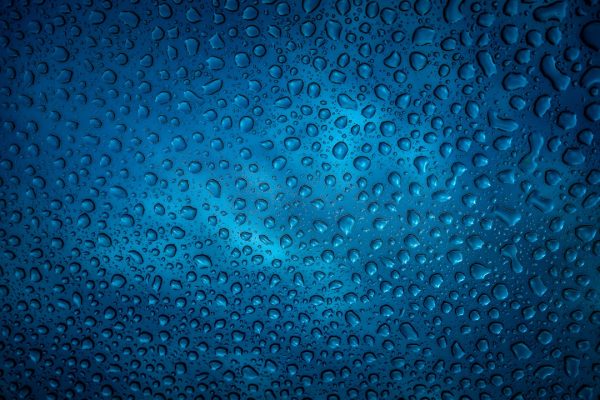 Top Water Bottles to Keep You Hydrated All Day Long