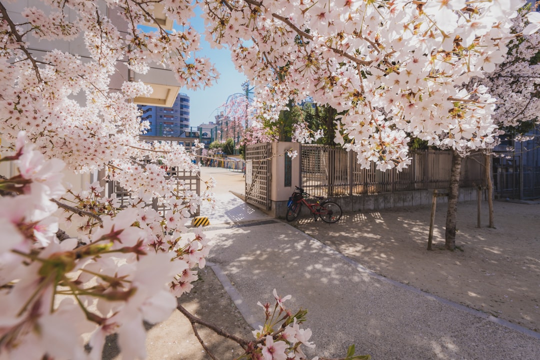 Immerse Yourself in the Most Realistic Simulation Games Ever Created