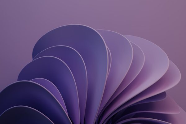 Mastering Graphic Design Software Like a Pro