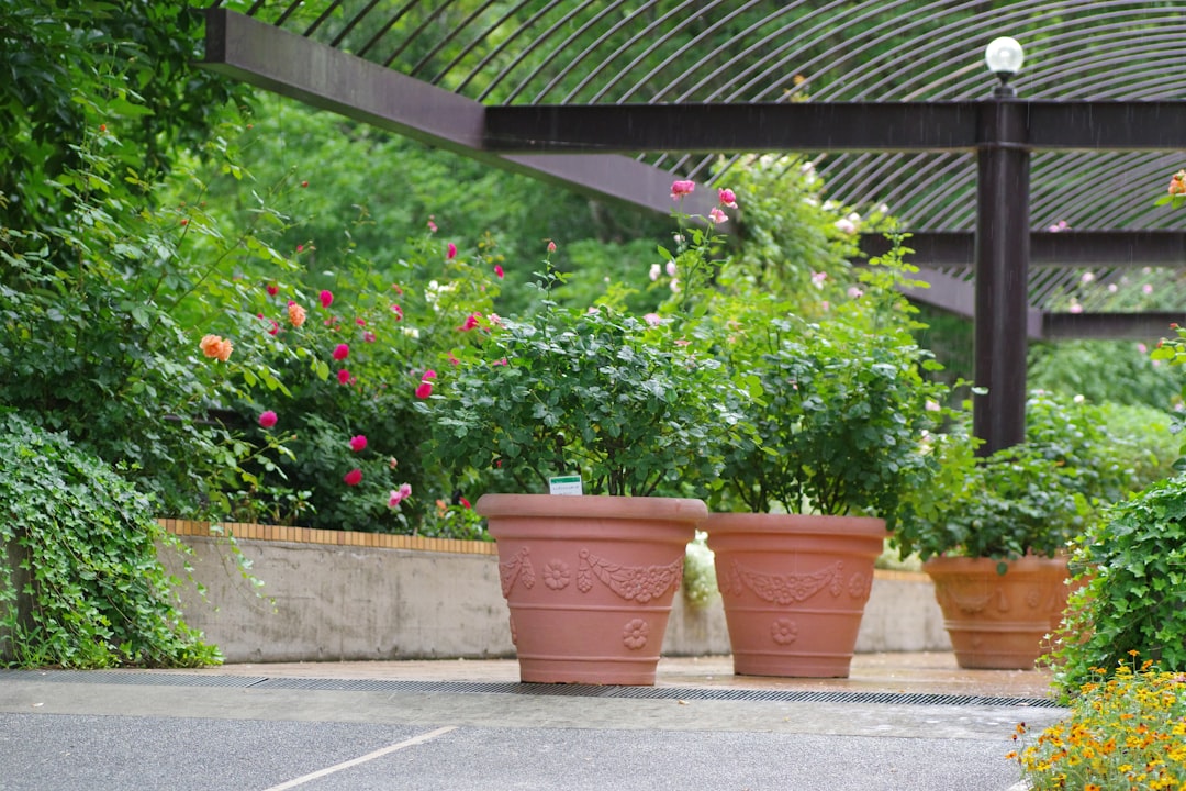 Unlocking the Secrets to a Thriving Backyard Garden