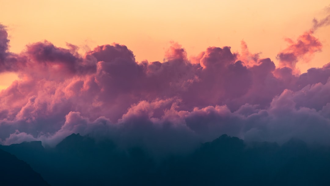 Navigating Cloud Storage Providers for Your Business Needs